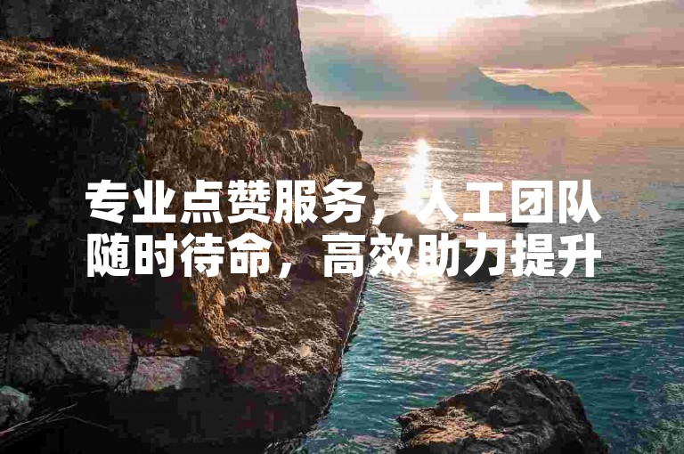 专业点赞服务，人工团队随时待命，高效助力提升人气。