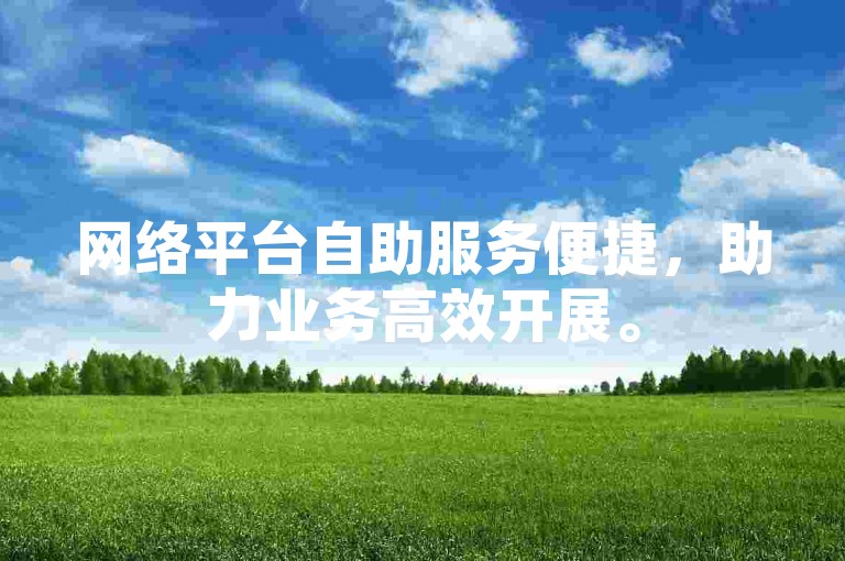 网络平台自助服务便捷，助力业务高效开展。