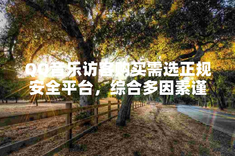 QQ音乐访客购买需选正规安全平台，综合多因素谨慎挑选。
