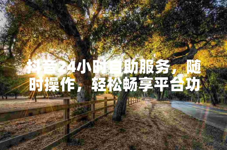 抖音24小时自助服务，随时操作，轻松畅享平台功能。