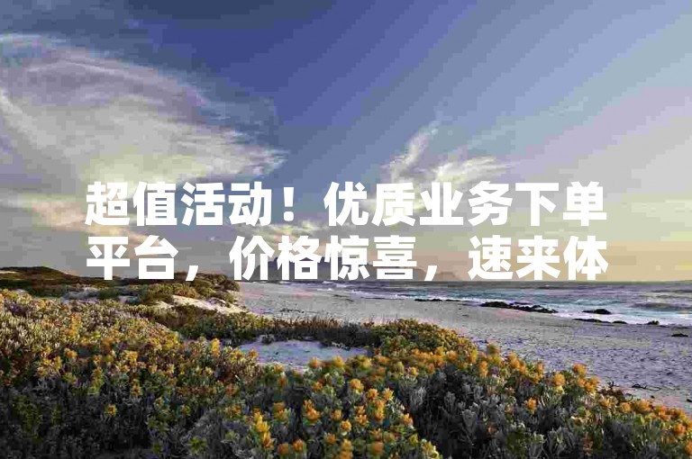 超值活动！优质业务下单平台，价格惊喜，速来体验。
