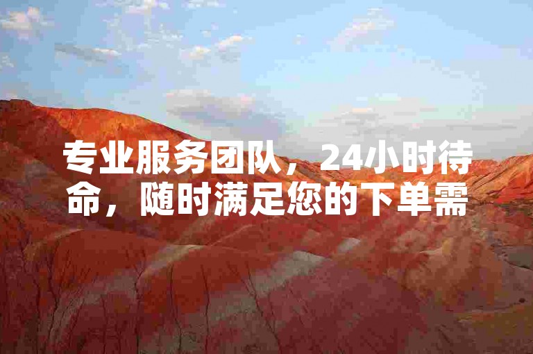 专业服务团队，24小时待命，随时满足您的下单需求。