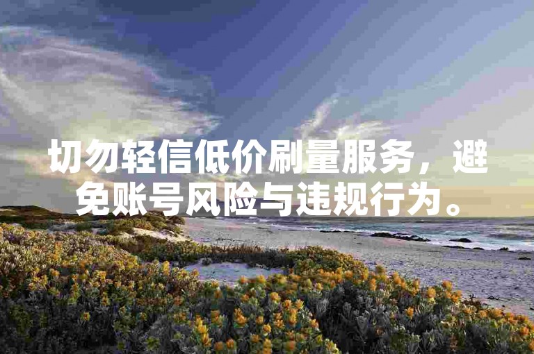 切勿轻信低价刷量服务，避免账号风险与违规行为。