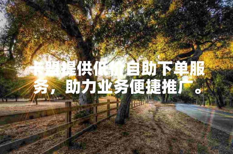 卡盟提供低价自助下单服务，助力业务便捷推广。