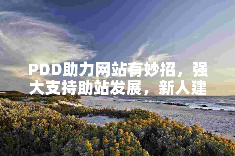 PDD助力网站有妙招，强大支持助站发展，新人建站别错过！