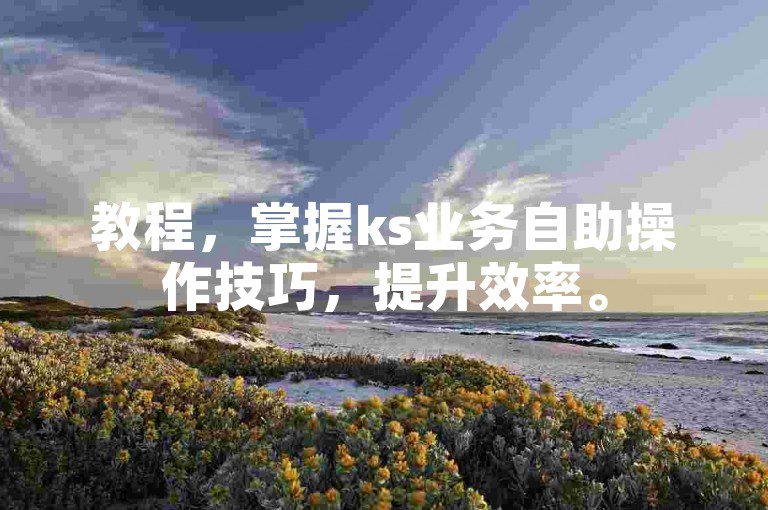 教程，掌握ks业务自助操作技巧，提升效率。