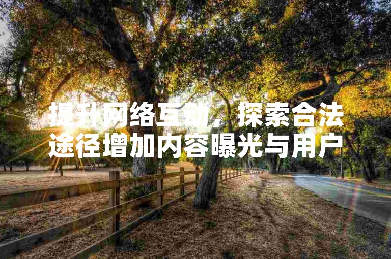 提升网络互动，探索合法途径增加内容曝光与用户参与。