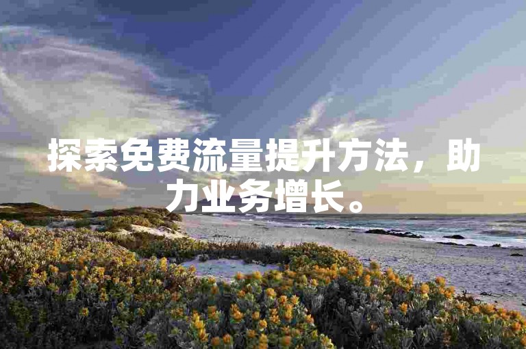 探索免费流量提升方法，助力业务增长。