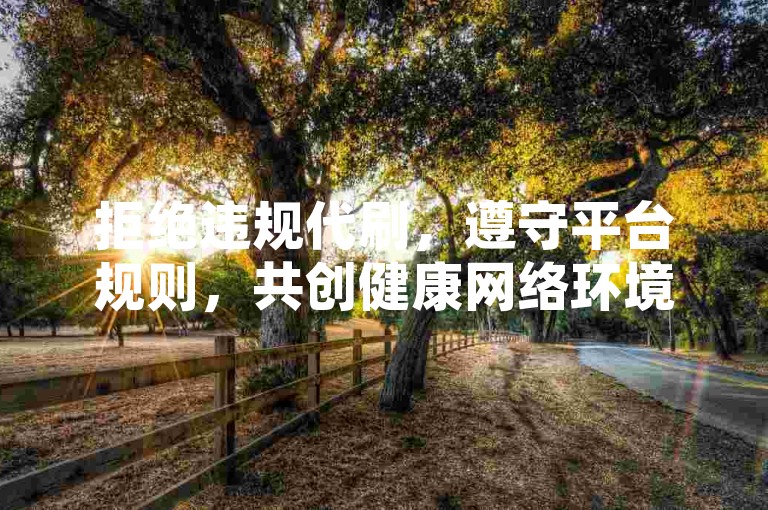 拒绝违规代刷，遵守平台规则，共创健康网络环境。