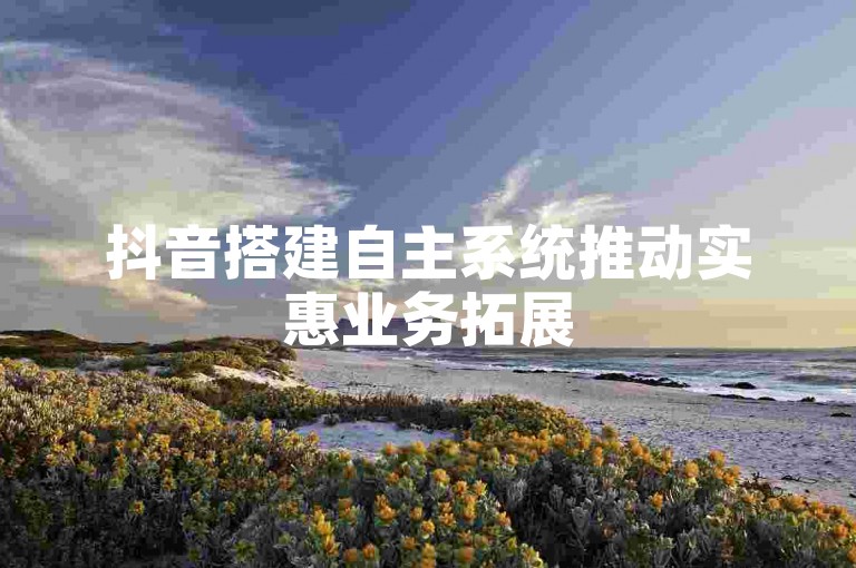 抖音搭建自主系统推动实惠业务拓展