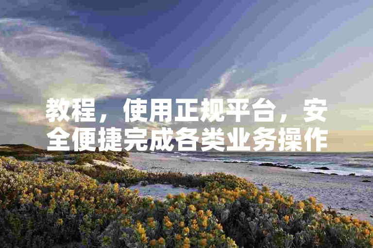 教程，使用正规平台，安全便捷完成各类业务操作。