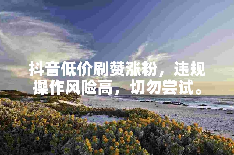 抖音低价刷赞涨粉，违规操作风险高，切勿尝试。