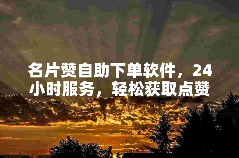 名片赞自助下单软件，24小时服务，轻松获取点赞。