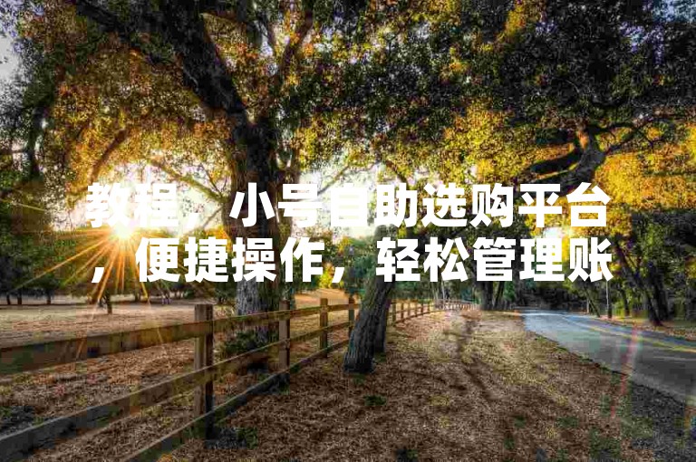 教程，小号自助选购平台，便捷操作，轻松管理账号资源。