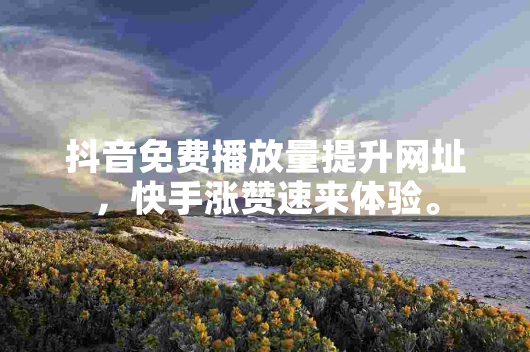 抖音免费播放量提升网址，快手涨赞速来体验。
