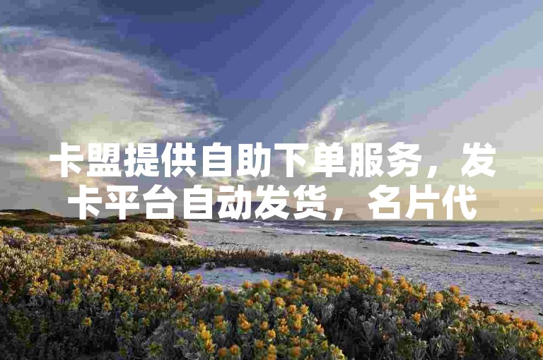 卡盟提供自助下单服务，发卡平台自动发货，名片代码丰富多样。