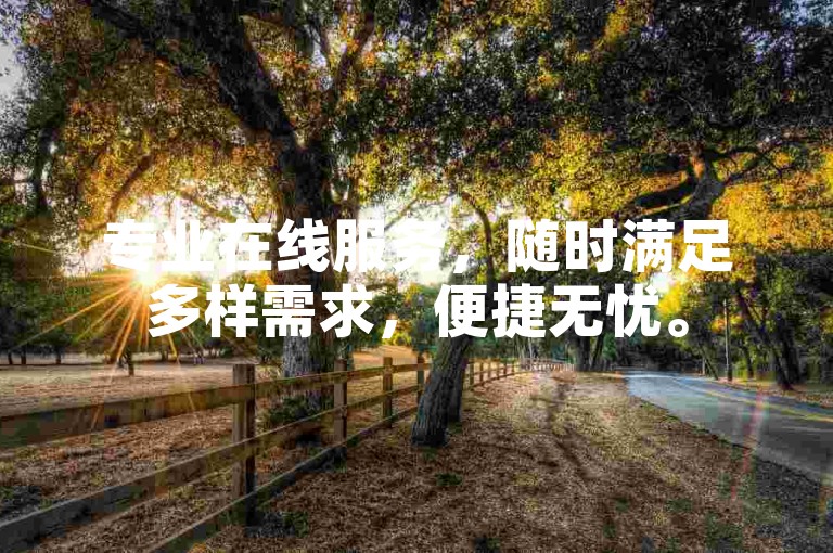 专业在线服务，随时满足多样需求，便捷无忧。