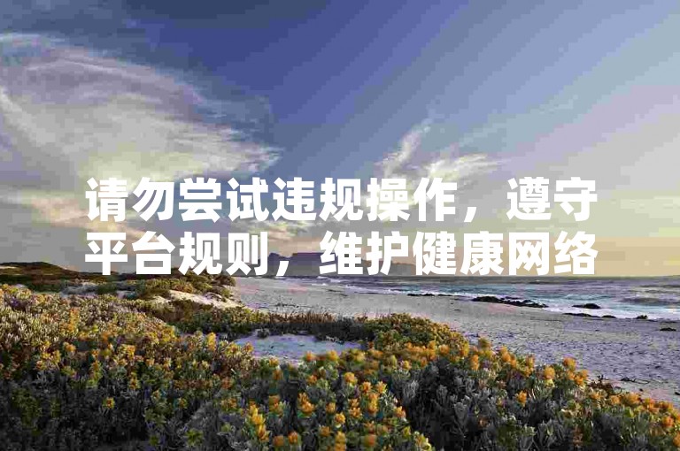 请勿尝试违规操作，遵守平台规则，维护健康网络环境。