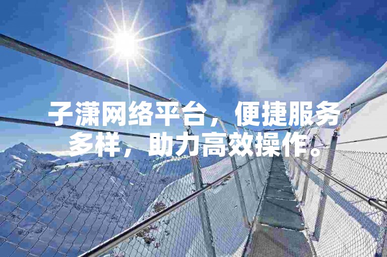 子潇网络平台，便捷服务多样，助力高效操作。