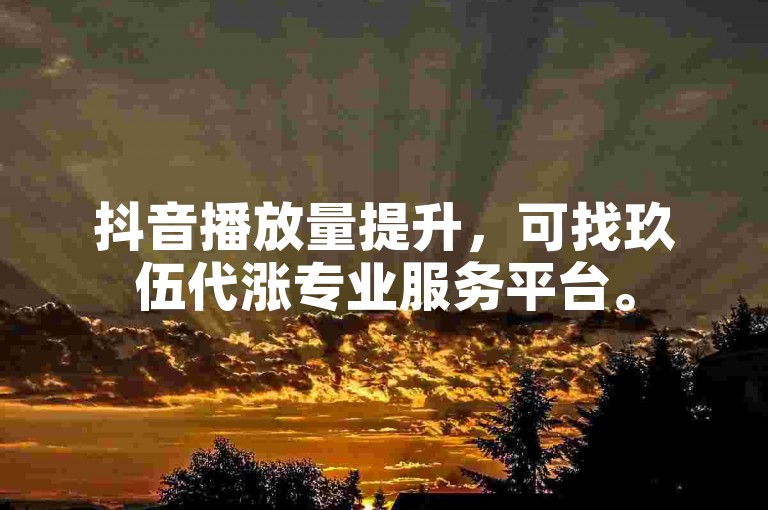 抖音播放量提升，可找玖伍代涨专业服务平台。