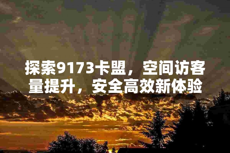 探索9173卡盟，空间访客量提升，安全高效新体验。