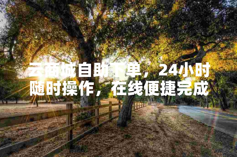 云商城自助下单，24小时随时操作，在线便捷完成购物。