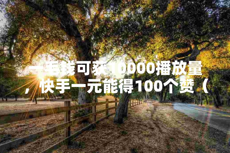 一毛钱可获10000播放量，快手一元能得100个赞（违规操作不可取）