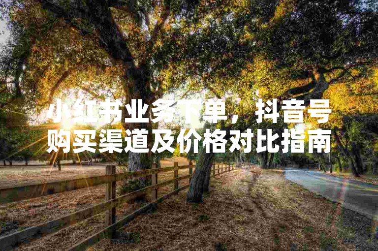 小红书业务下单，抖音号购买渠道及价格对比指南。
