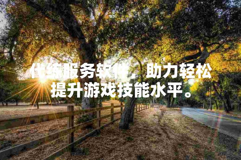 代练服务软件，助力轻松提升游戏技能水平。