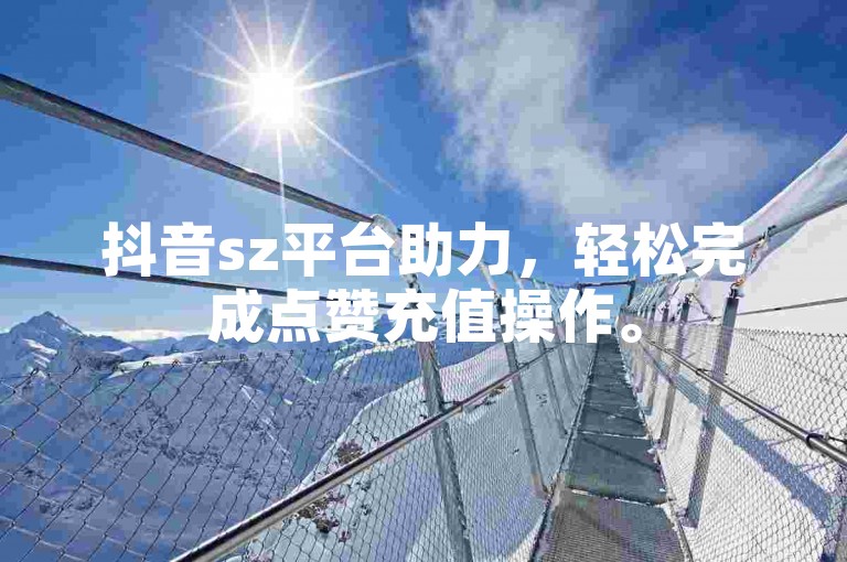 抖音sz平台助力，轻松完成点赞充值操作。