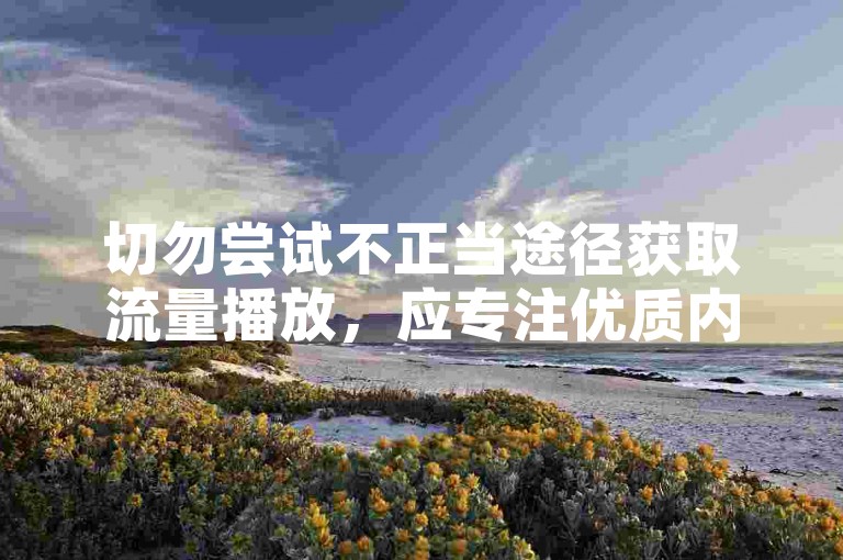 切勿尝试不正当途径获取流量播放，应专注优质内容创作。