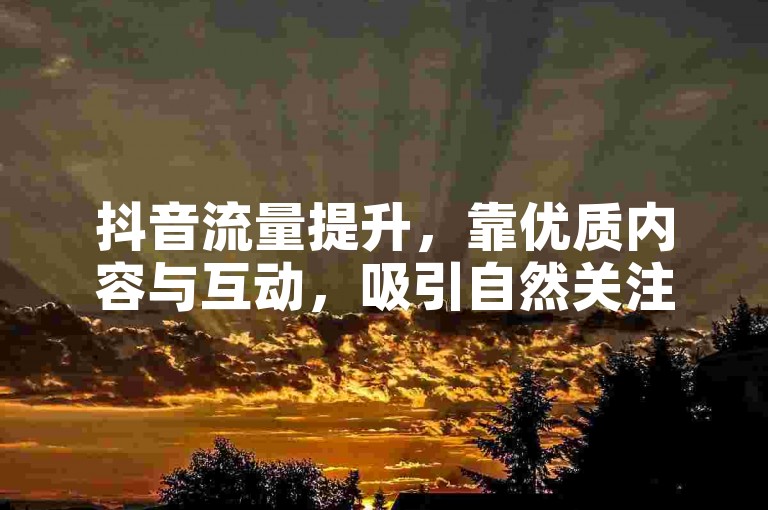 抖音流量提升，靠优质内容与互动，吸引自然关注。