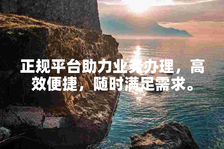正规平台助力业务办理，高效便捷，随时满足需求。