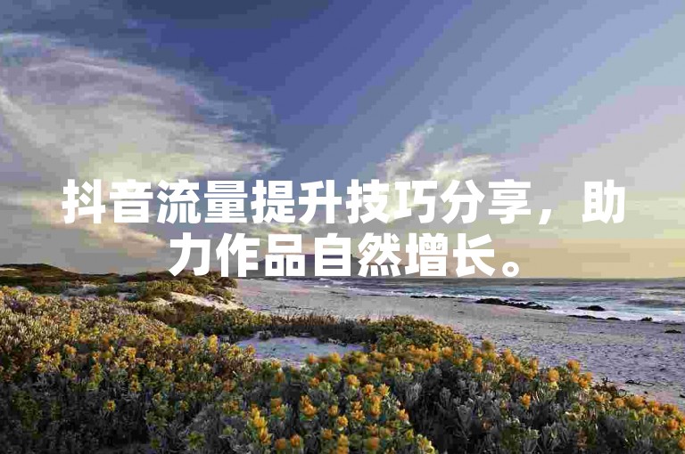 抖音流量提升技巧分享，助力作品自然增长。
