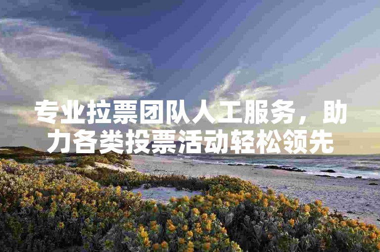 专业拉票团队人工服务，助力各类投票活动轻松领先。