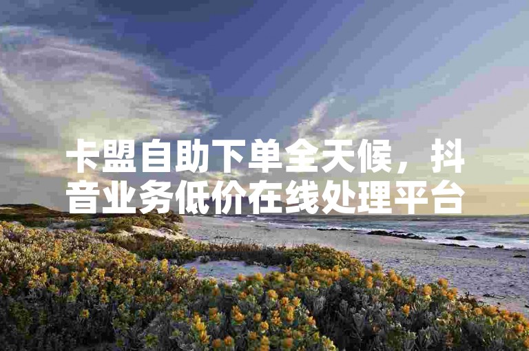 卡盟自助下单全天候，抖音业务低价在线处理平台。