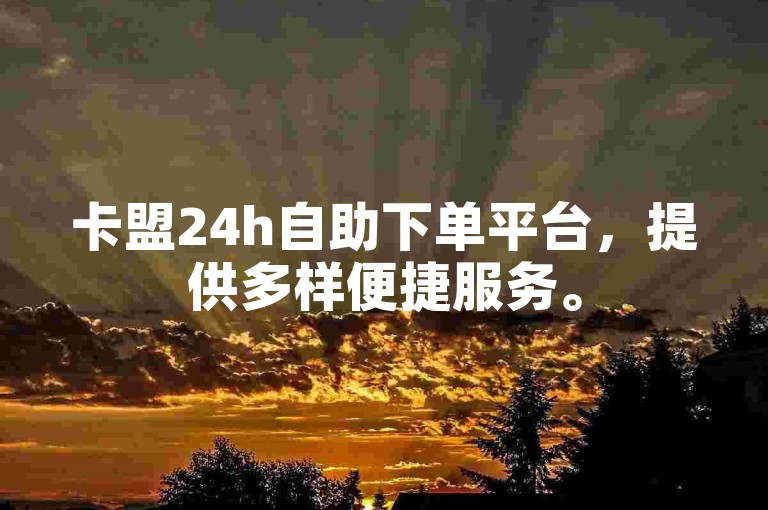 卡盟24h自助下单平台，提供多样便捷服务。