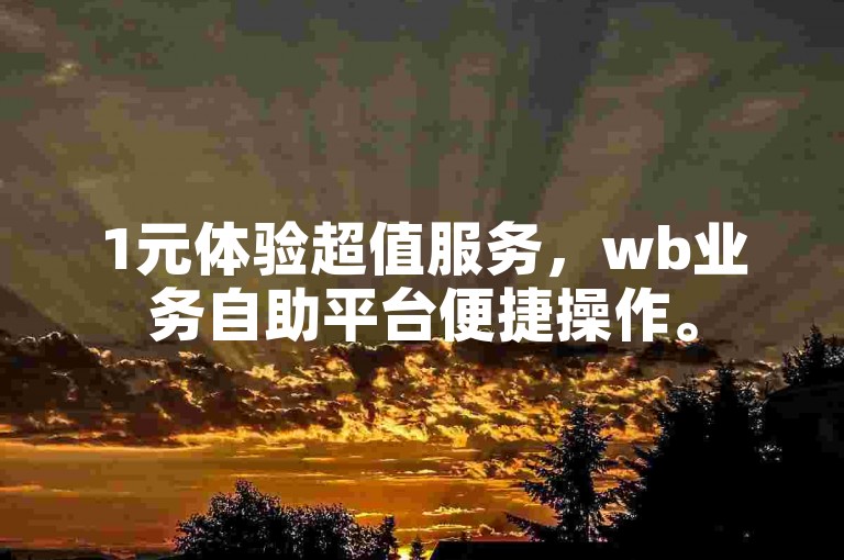 1元体验超值服务，wb业务自助平台便捷操作。