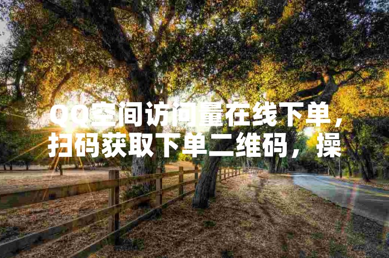 QQ空间访问量在线下单，扫码获取下单二维码，操作便捷。