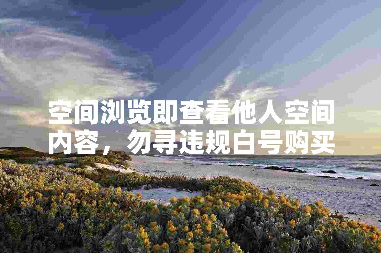 空间浏览即查看他人空间内容，勿寻违规白号购买联系。
