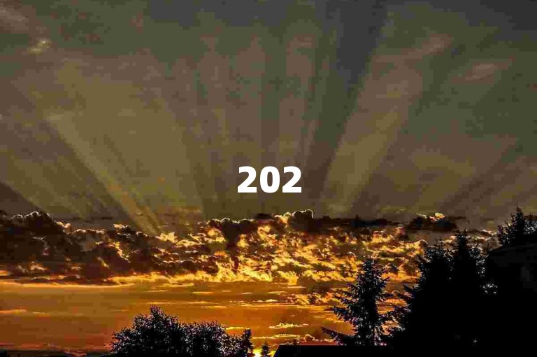 2025年，快手业务下单平台需谨慎选择，确保安全合规。