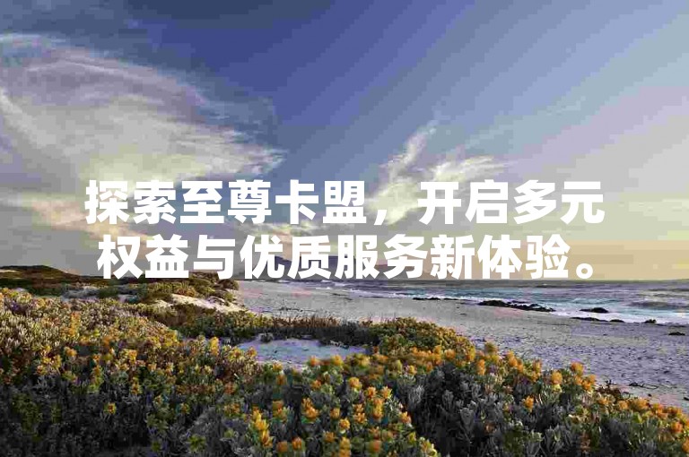探索至尊卡盟，开启多元权益与优质服务新体验。