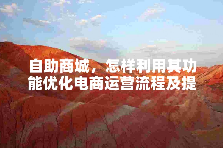自助商城，怎样利用其功能优化电商运营流程及提高客户满意度