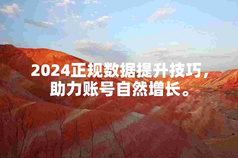2024正规数据提升技巧，助力账号自然增长。