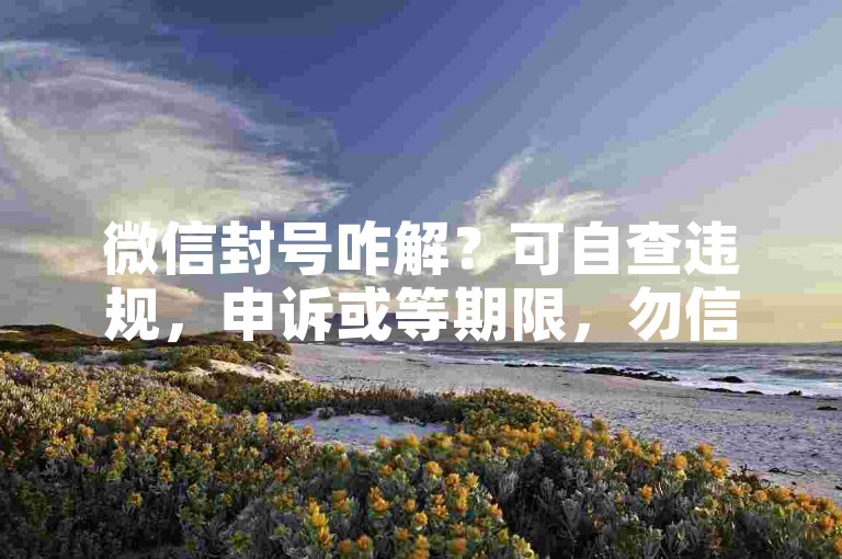 微信封号咋解？可自查违规，申诉或等期限，勿信违规解封法。