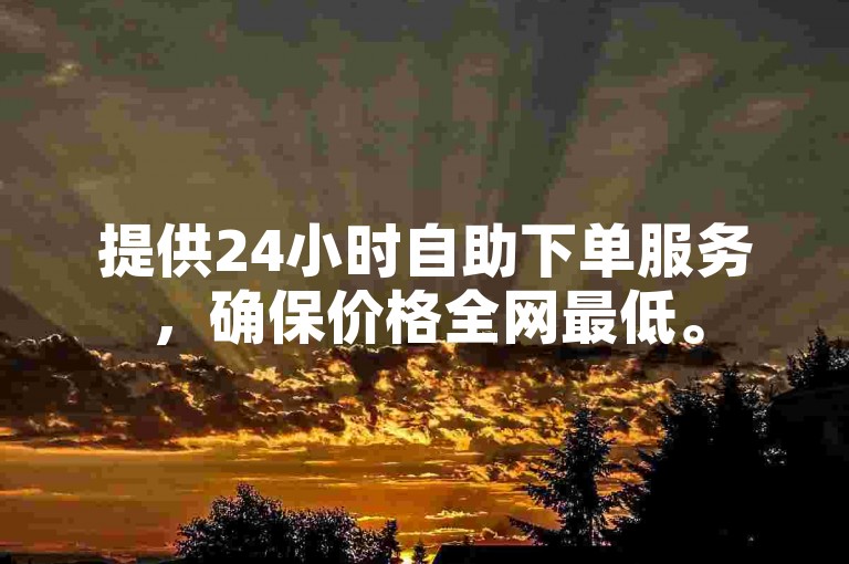 提供24小时自助下单服务，确保价格全网最低。