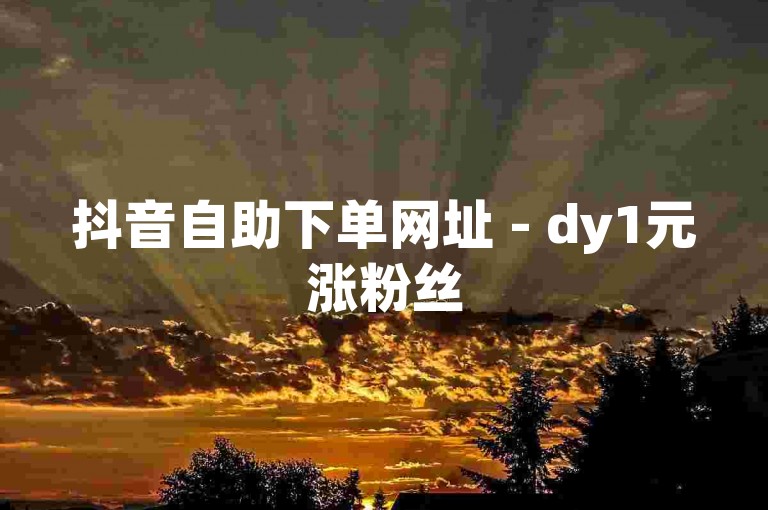 抖音自助下单网址 - dy1元涨粉丝