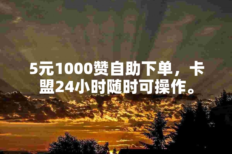 5元1000赞自助下单，卡盟24小时随时可操作。