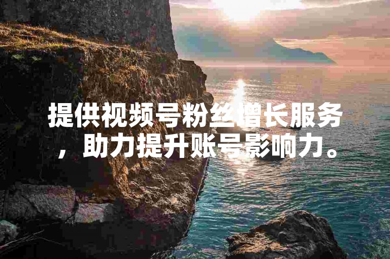 提供视频号粉丝增长服务，助力提升账号影响力。
