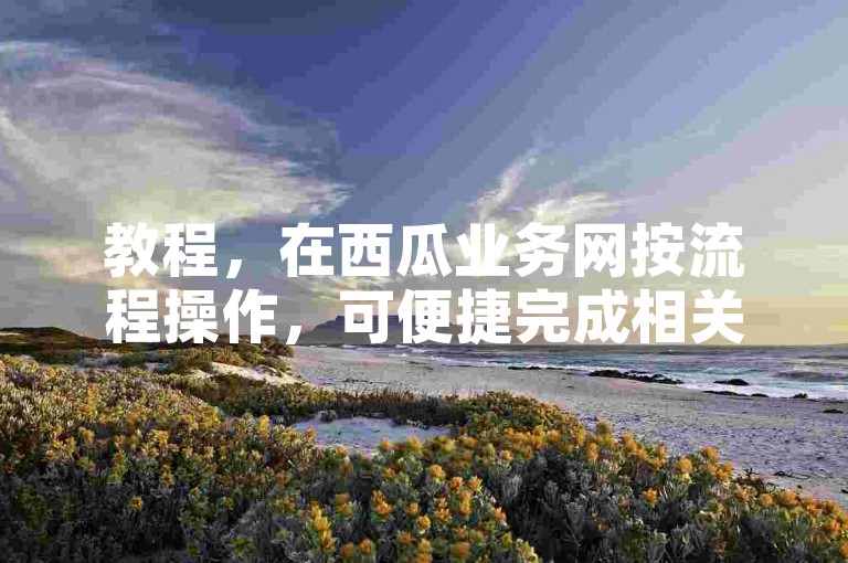 教程，在西瓜业务网按流程操作，可便捷完成相关业务下单。